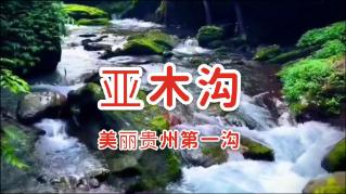 电动车被汽车撞倒,脚扭伤。汽车全责。我该怎么和保险公司索赔、索赔多少才合理???-有问必答平台